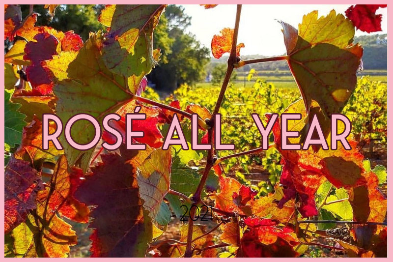 Rosé All Year - Genieße Rosé das ganze Jahr!