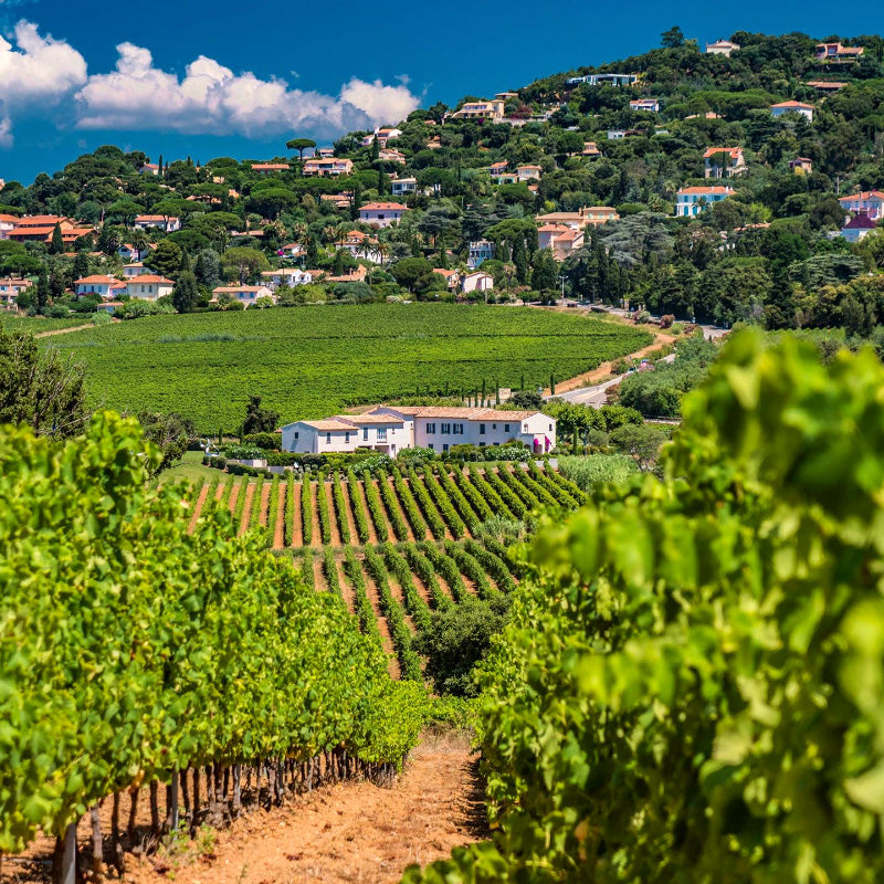 Domaine de la Croix - Éloge - Cru Classé Rosé