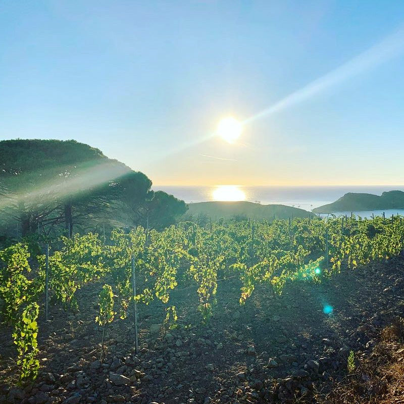 Domaine de la Croix - Empereur - Cru Classé Rosé