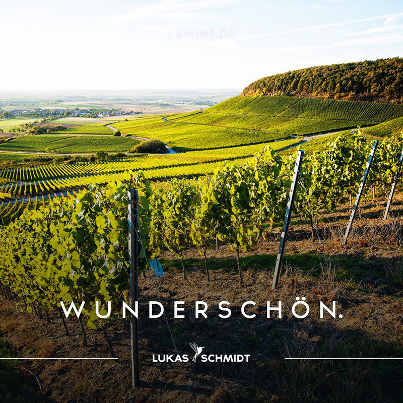 Weingut Lukas Schmidt - Rotling