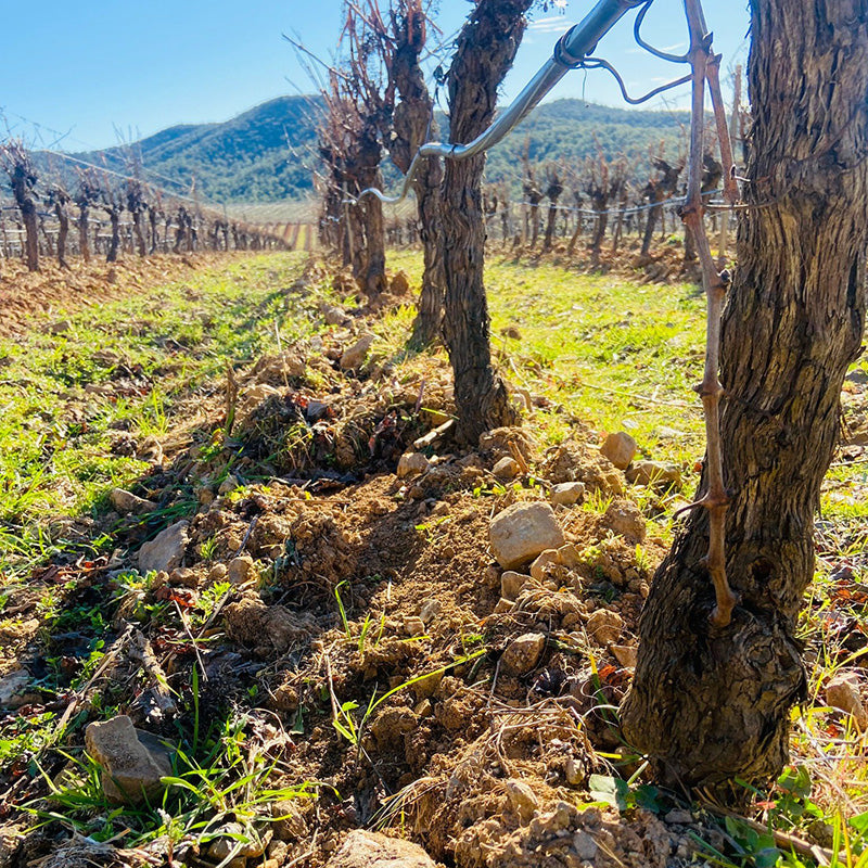 Château Pas Du Cerf - Dames Nature Rosé BIO