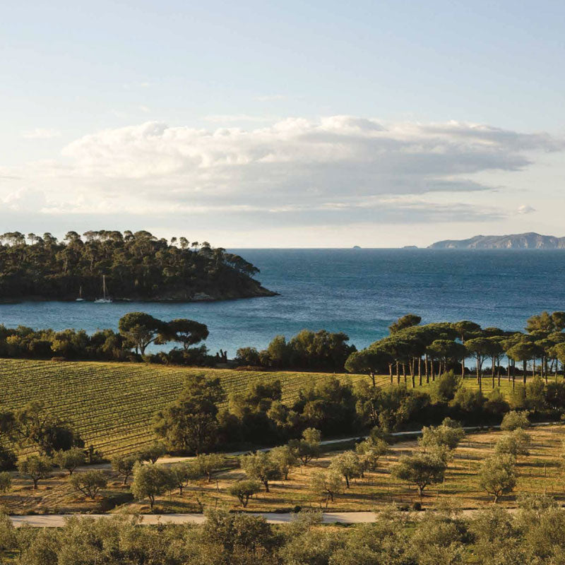 Château Léoube - Rosé de Léoube BIO