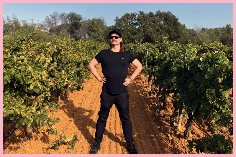 Die unterschiedlichen Regionen der Provence und ihre Rosés