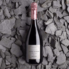Banfi - Cuvée Aurora - Metodo Classico Rosé 2021