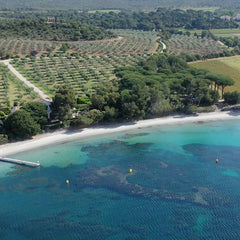 Château Léoube - Forever Love Rosé - Alkoholfrei