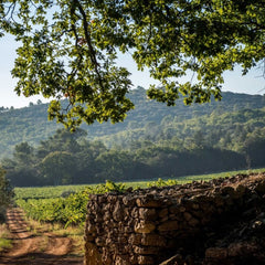 Château Peyrassol - Le Clos Rosé BIO