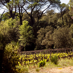 Château d'Astros - Augustine Rosé BIO
