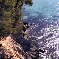Figuière - Rose Bay BIO