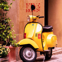 Leone De Castris - Five Roses Rosé