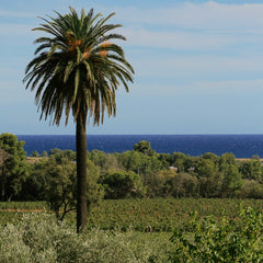 Château Galoupet - G de Galoupet Rosé