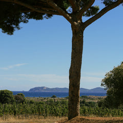 Château Galoupet - G de Galoupet Rosé