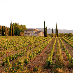 Mirabeau Pure Rosé