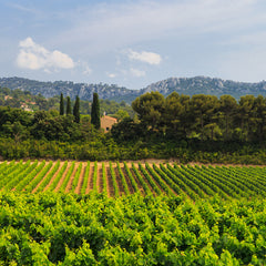 Domaines Ott Rosé - Château Romassan Bandol